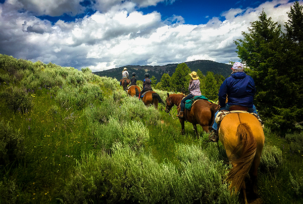 cabalgatas river puelo